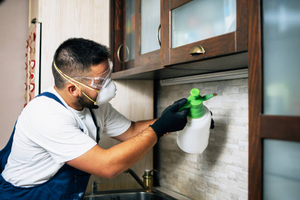 Best Affordable Pest Control Services  in Fairdale, PA