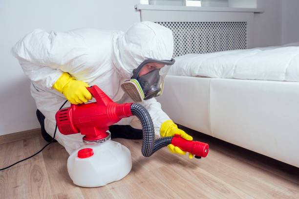 Best Flea Control Services  in Fairdale, PA