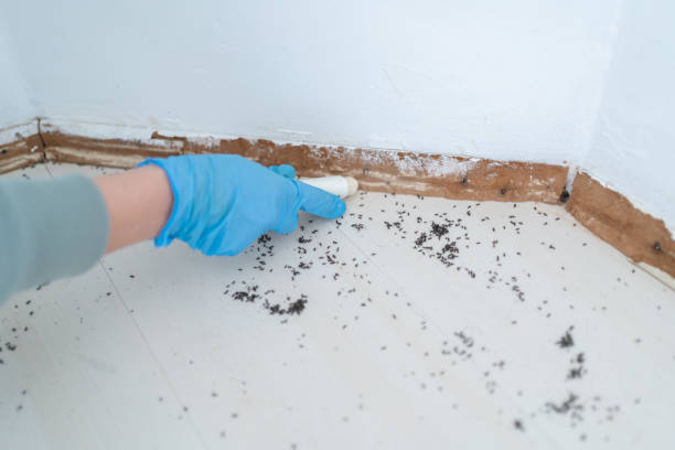 Best Pest Prevention Services  in Fairdale, PA